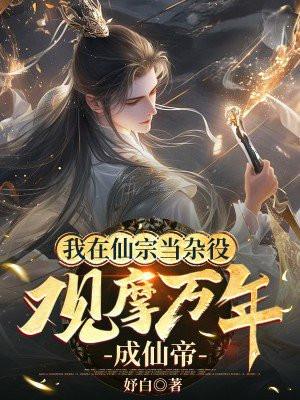 许默是谁